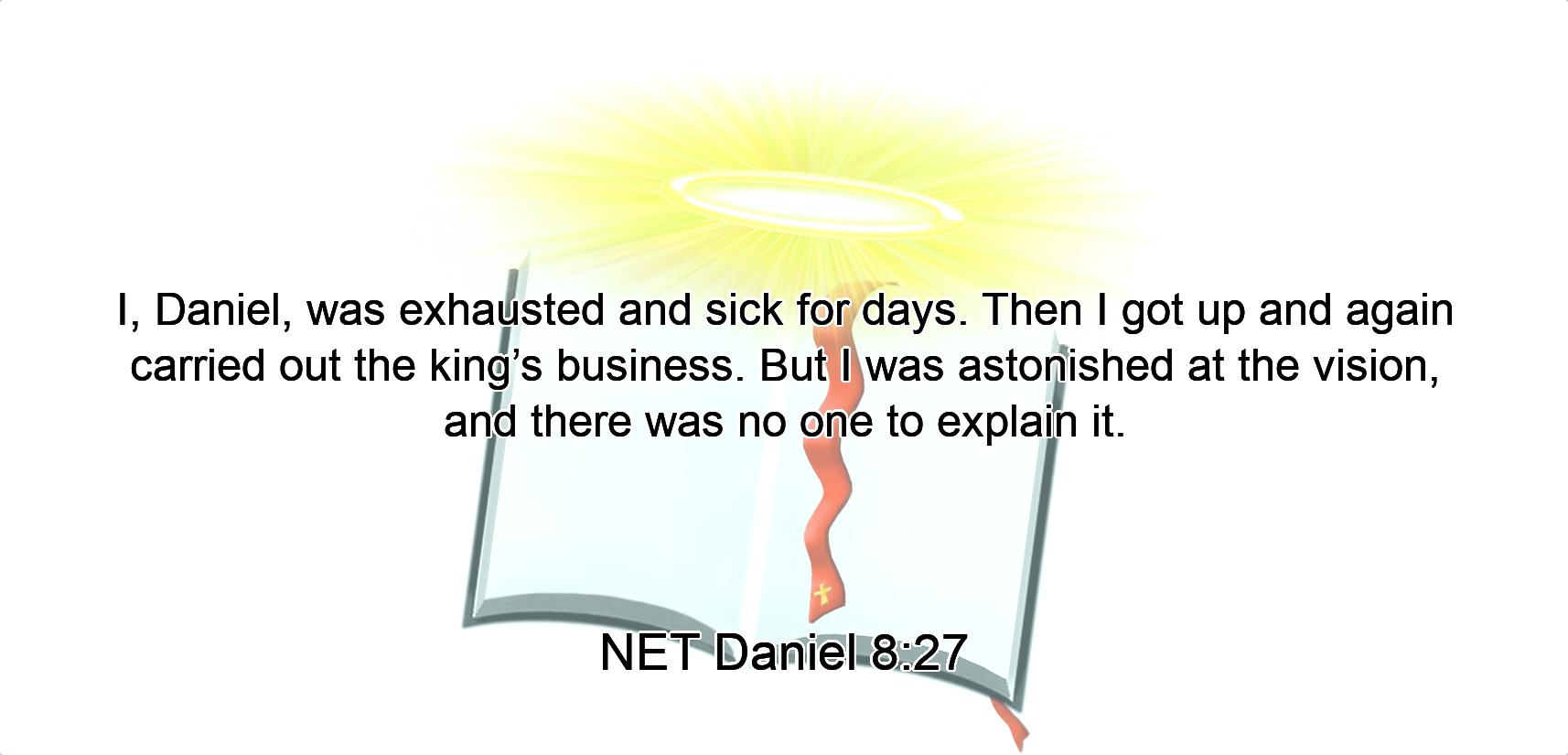 I, Daniel, was exhausted  and sick for days. Then I got up and again carried out the king’s business. But I was astonished at the vision, and there was no one to explain it.
