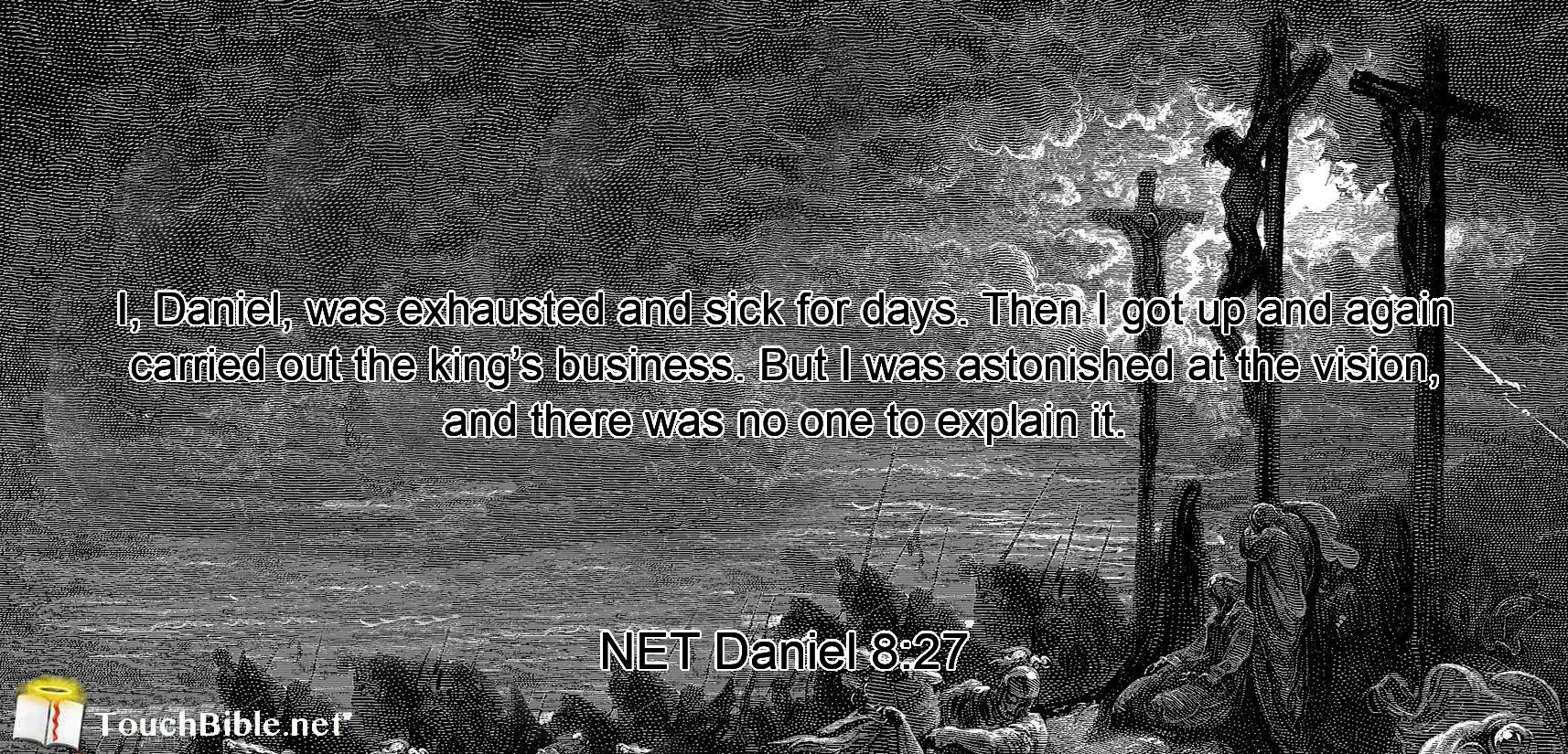 I, Daniel, was exhausted  and sick for days. Then I got up and again carried out the king’s business. But I was astonished at the vision, and there was no one to explain it.