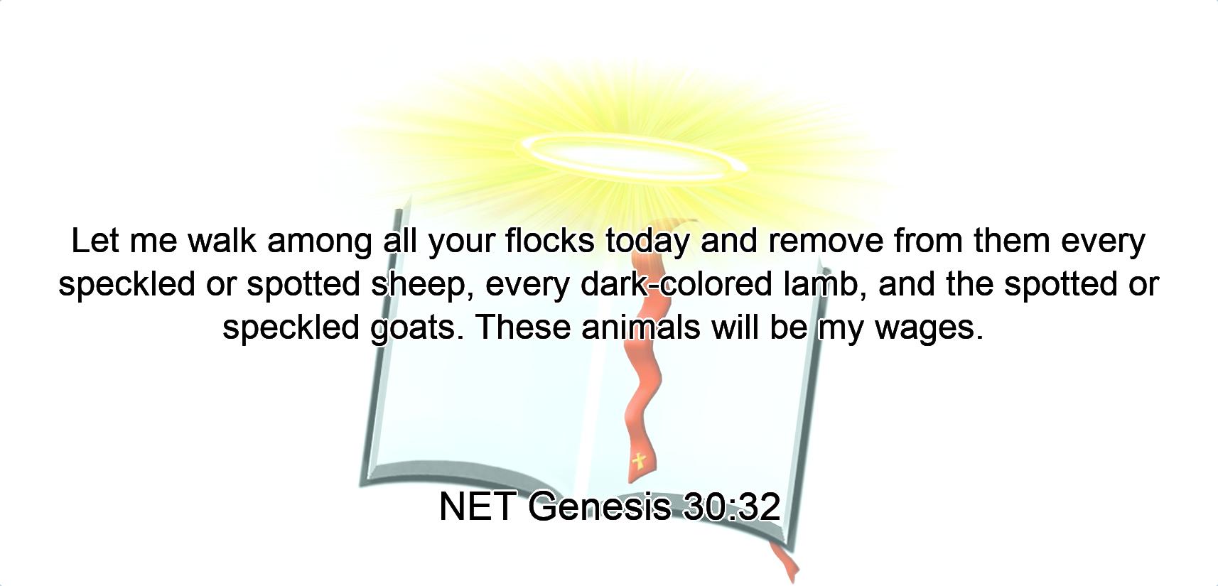 Let me walk among  all your flocks today and remove from them every speckled or spotted sheep, every dark-colored lamb,  and the spotted or speckled goats.  These animals will be my wages. 
