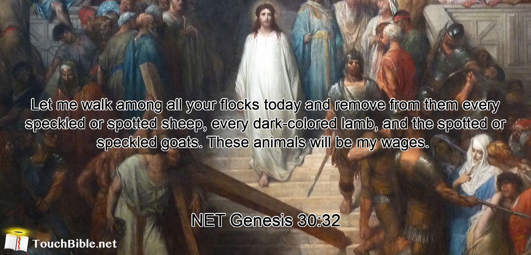 Let me walk among  all your flocks today and remove from them every speckled or spotted sheep, every dark-colored lamb,  and the spotted or speckled goats.  These animals will be my wages. 