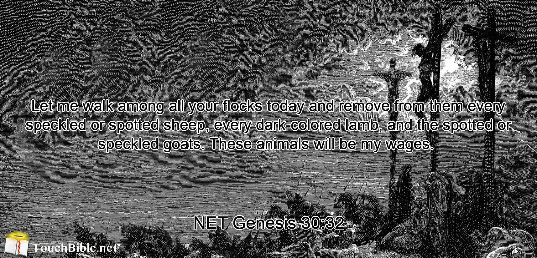 Let me walk among  all your flocks today and remove from them every speckled or spotted sheep, every dark-colored lamb,  and the spotted or speckled goats.  These animals will be my wages. 