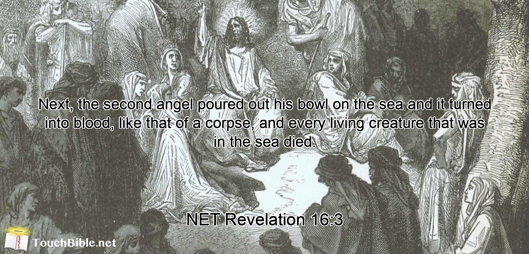 Next,  the second angel  poured out his bowl on the sea and it turned into blood, like that of a corpse, and every living creature that was in the sea died.