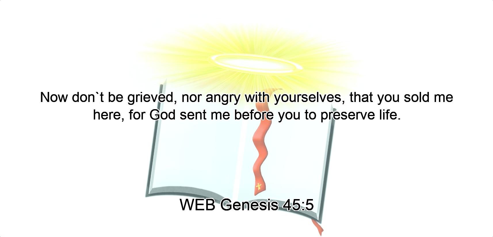 Now don`t be grieved, nor angry with yourselves, that you sold me here, for God sent me before you to preserve life.