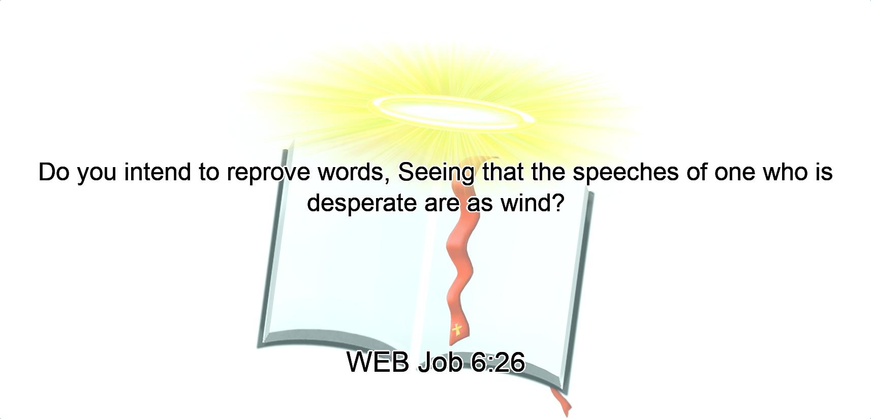 Do you intend to reprove words, Seeing that the speeches of one who is desperate are as wind?